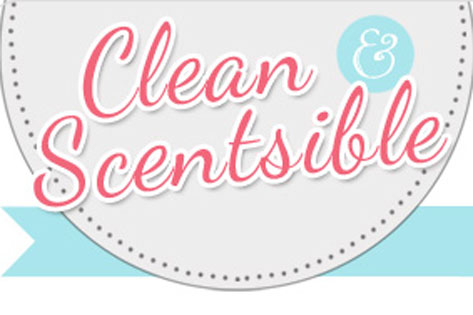 The Household Organization Diet Home Organization Plan - Clean and  Scentsible